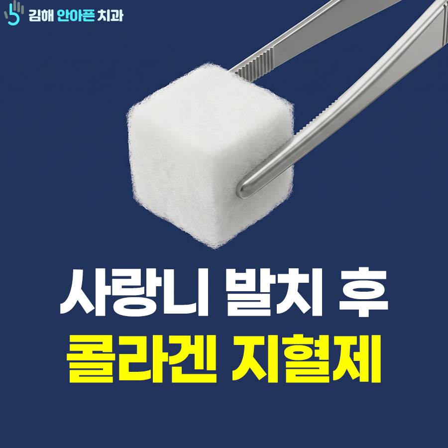 김해 사랑니 발치 후 콜라겐 지혈제 꼭 추가해야 할까